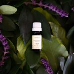 Aceite Esencial De Salvia - Imagen 2