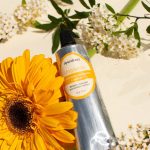 Ungüento de Calendula, Manzanilla y Lavanda