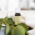 Aceite Esencial De Alcanfor - Imagen 2