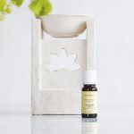 Aceite Esencial De Alcanfor - Imagen 3