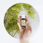 Aceite Esencial De Alcanfor - Imagen 4