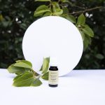 Aceite Esencial De Alcanfor - Imagen 5