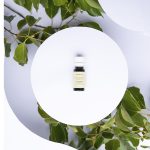 Aceite Esencial De Alcanfor - Imagen 8