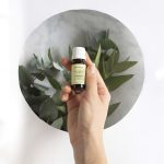 Aceite Esencial De Eucalipto - Imagen 2