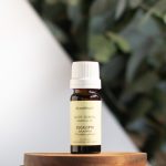 Aceite Esencial De Eucalipto