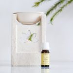 Aceite Esencial De Tea Tree - Imagen 2